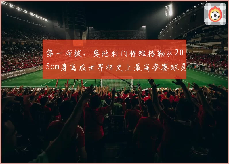 第一海拔,奥地利门将维格勒以205cm身高成世界杯史上最高参赛球员