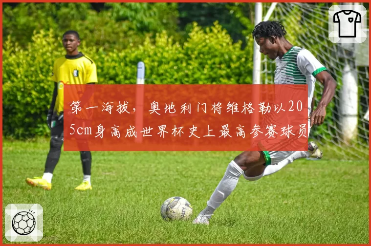第一海拔，奥地利门将维格勒以205cm身高成世界杯史上最高参赛球员